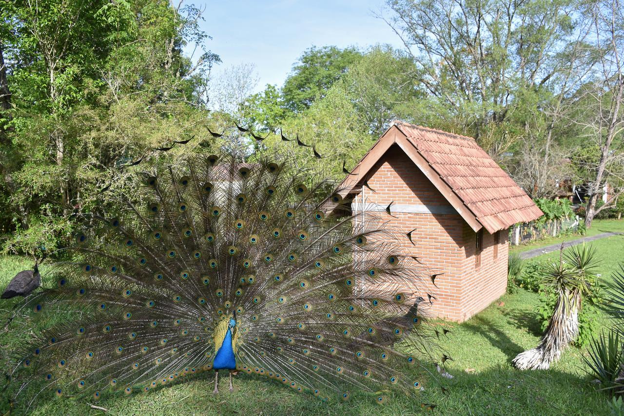 Pousada Da Cachoeira Pelotas Exterior foto